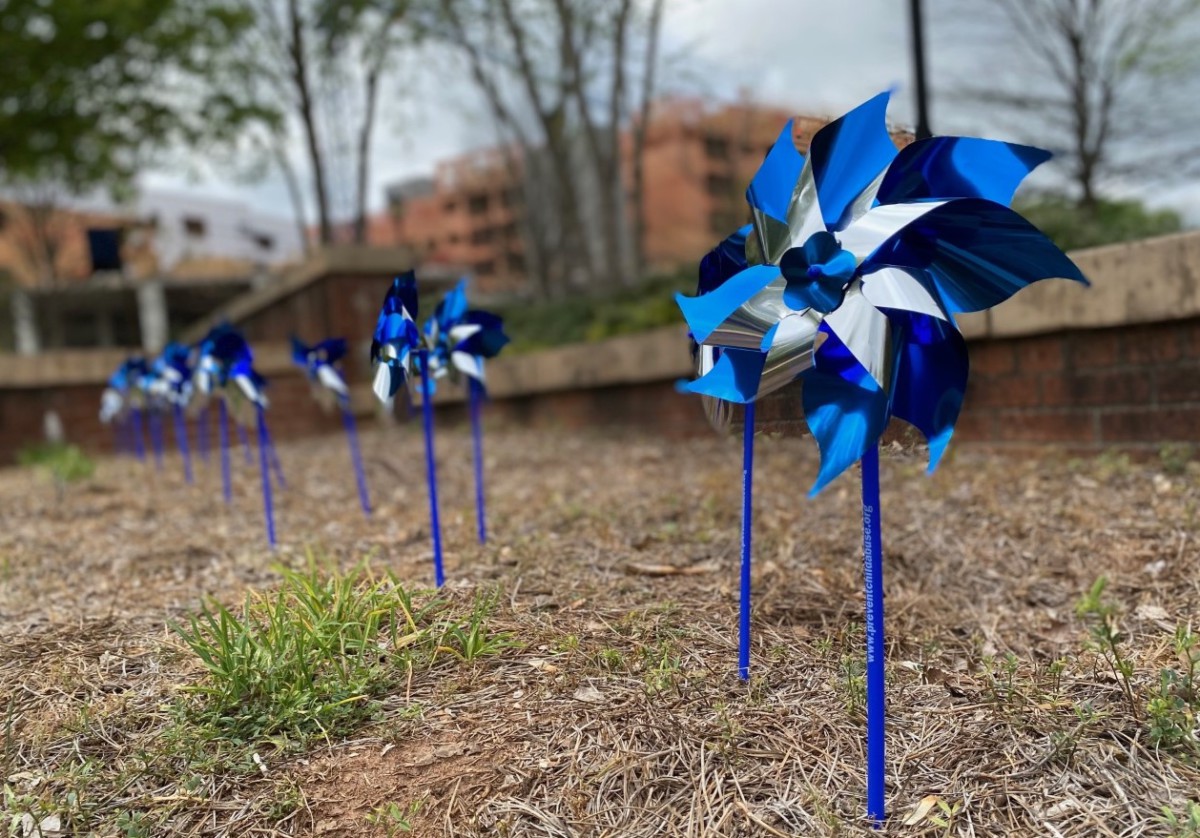Image of pinwheels in the ground